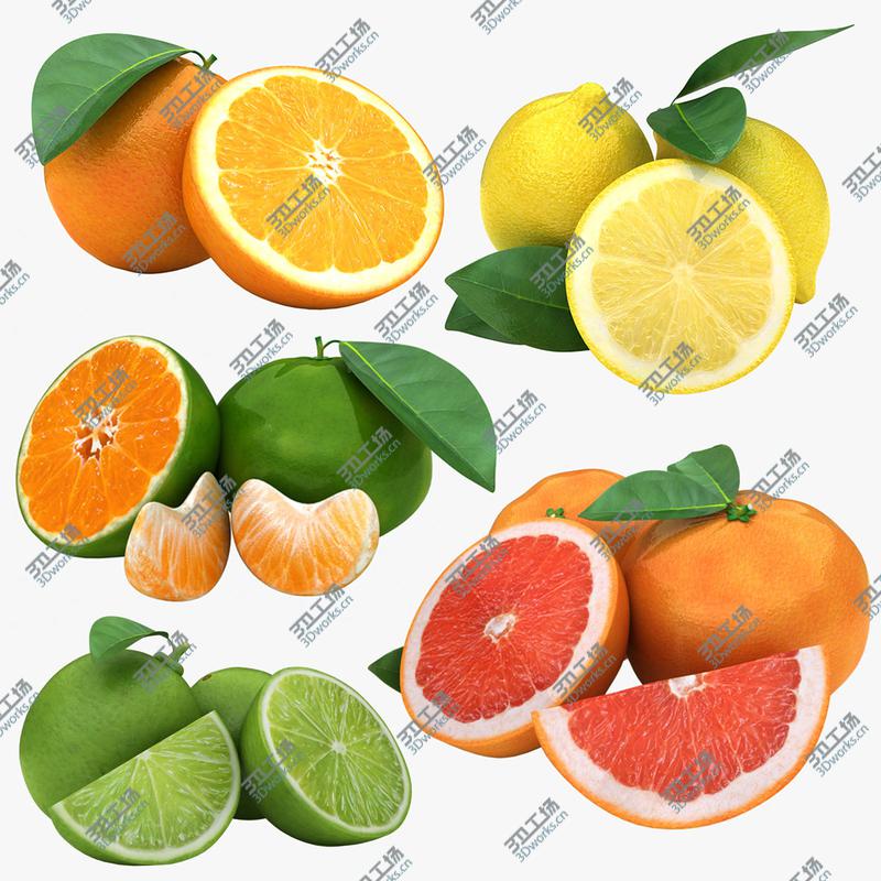 images/goods_img/202104093/Citrus Fruit Collection 2 3D model/1.jpg